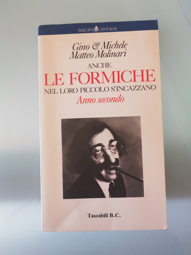Anche formiche nel - anche, le