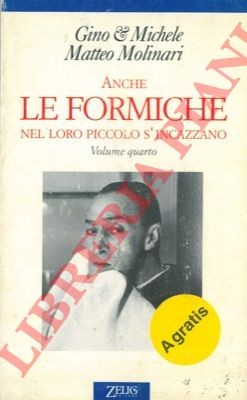 Anche formiche nel loro - formiche,