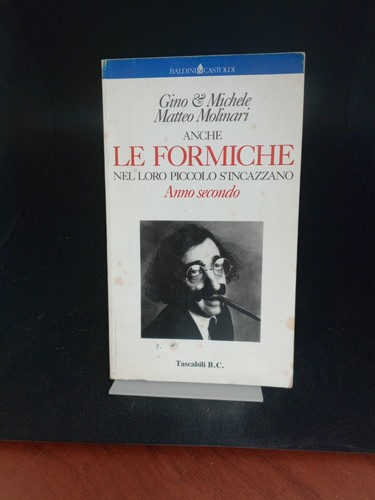 Anche formiche nel - anche,