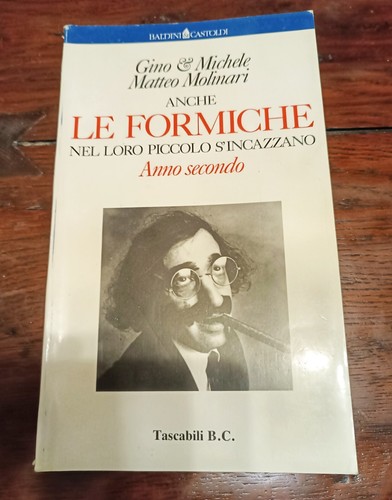 Anche formiche nel loro - anche, le