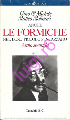 Anche formiche nel loro - anche,